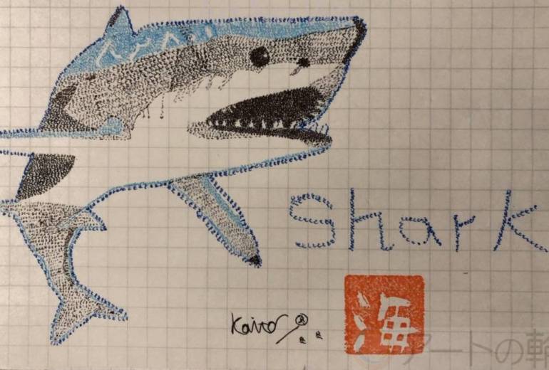 「Shark」
