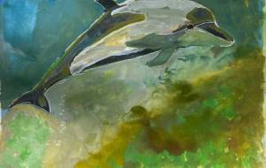 イルカ - 【イベント】ザ・ルイガンズ.スパ & リゾート 2021年コンペティション応募作品