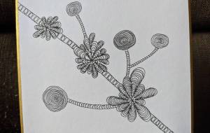 ボタニカル - 夏みかん