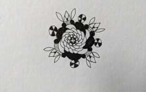 おめでたき花 - 夏みかん