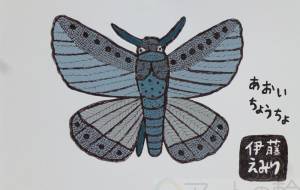 青いちょうちょ - 伊藤恵美里