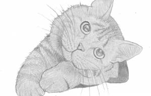 猫 - 伊藤恵美里