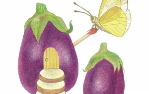 なす - 伊藤恵美里