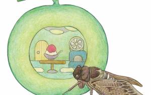 メロン - 伊藤恵美里