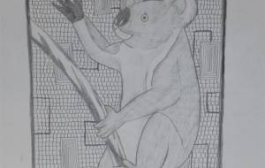 コアラ白黒 - 伊藤恵美里