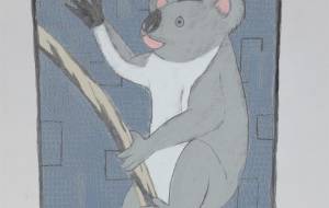 コアラ - 伊藤恵美里