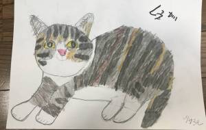 キジトラくうが - 琉ちゃん