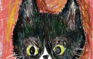 ハチワレ猫 - かいこ