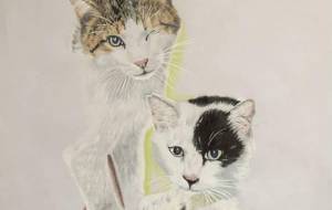 ブッちゃんとキッちゃん 〜しっぽしましまさんの優しさ〜 - UkoNyan