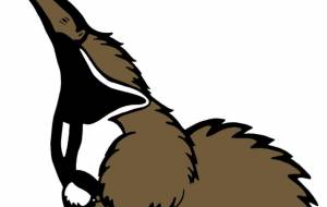 オオアリクイ - シマハイエナ