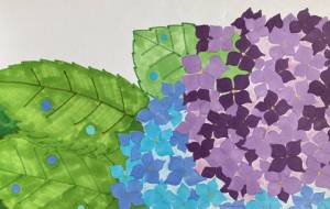 あじさい - YOSHIMI