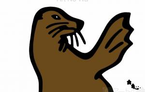 カリフォルニアアシカ - シマハイエナ