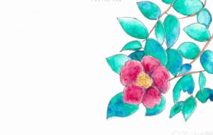 ツバキ - 草地美波