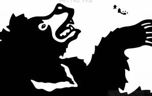 インドナマケグマ - 【イベント】可能性アートプロジェクト 2022