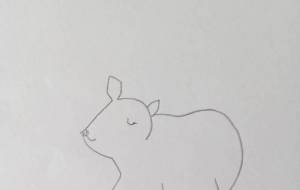 動物コレクション - 絵円モモ(えまるもも)