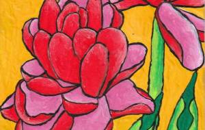 八重咲きチューリップ - 阿部貴志