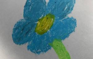 名もなき花 - 吉田昌平