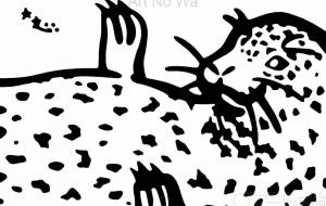 ゴマフアザラシ - 【イベント】可能性アートプロジェクト 2022