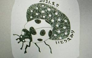 てんとう虫 - 伊藤恵美里