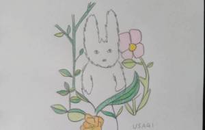 動物コレクション - 絵円モモ(えまるもも)