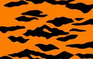 トラ(模様) - シマハイエナ