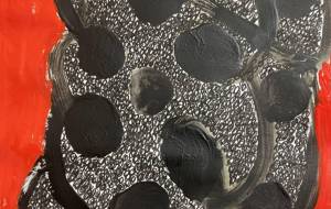 ター君の闘い - 笹谷正博