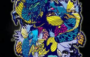 鯉。そして龍となる様 - 吉村 翔