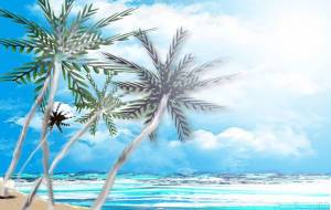 夏の海 - 吉村 翔