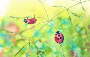 てんとう虫むし - おゆみ