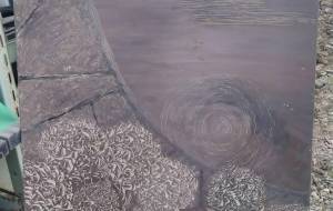 あじさい - 久保田 俊