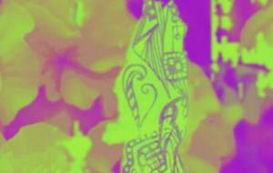 しょも柄 - しょも