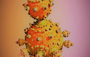 飾り付けのある唐揚げ - 太陽