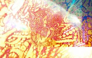 しょも装飾 - しょも