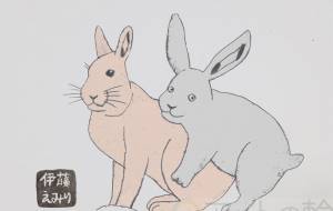 うさぎ - 伊藤恵美里