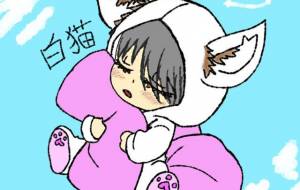 鏡の中の白猫 - 夜ト