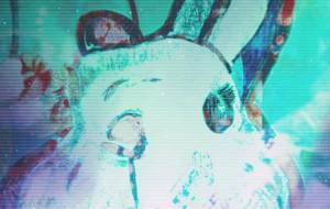 うさぎくん - しょも