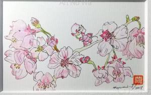 桜 - 繭