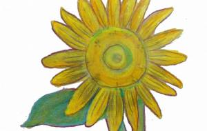 ひまわり - 伊藤恵美里