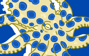 オオマルモンダコ - ここん