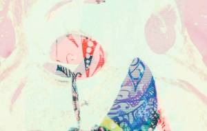 しょもうさぎのアップ - しょも