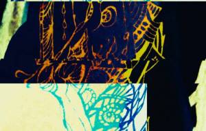 しょもブランド - しょも