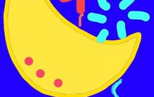 月と花火、パート2 - トゥー・A・ルルカ