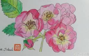 バラ あんじぇら - 繭