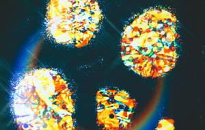 しょも惑星 - しょも