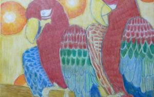 インコ - 伊藤恵美里