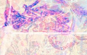 近未来 - しょも