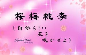 桜梅桃李 - 落合浩太郎