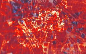 紅蜘蛛 - しょも