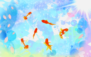 金魚 - 落合浩太郎