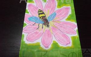 蜂先夏 - 明紅葉